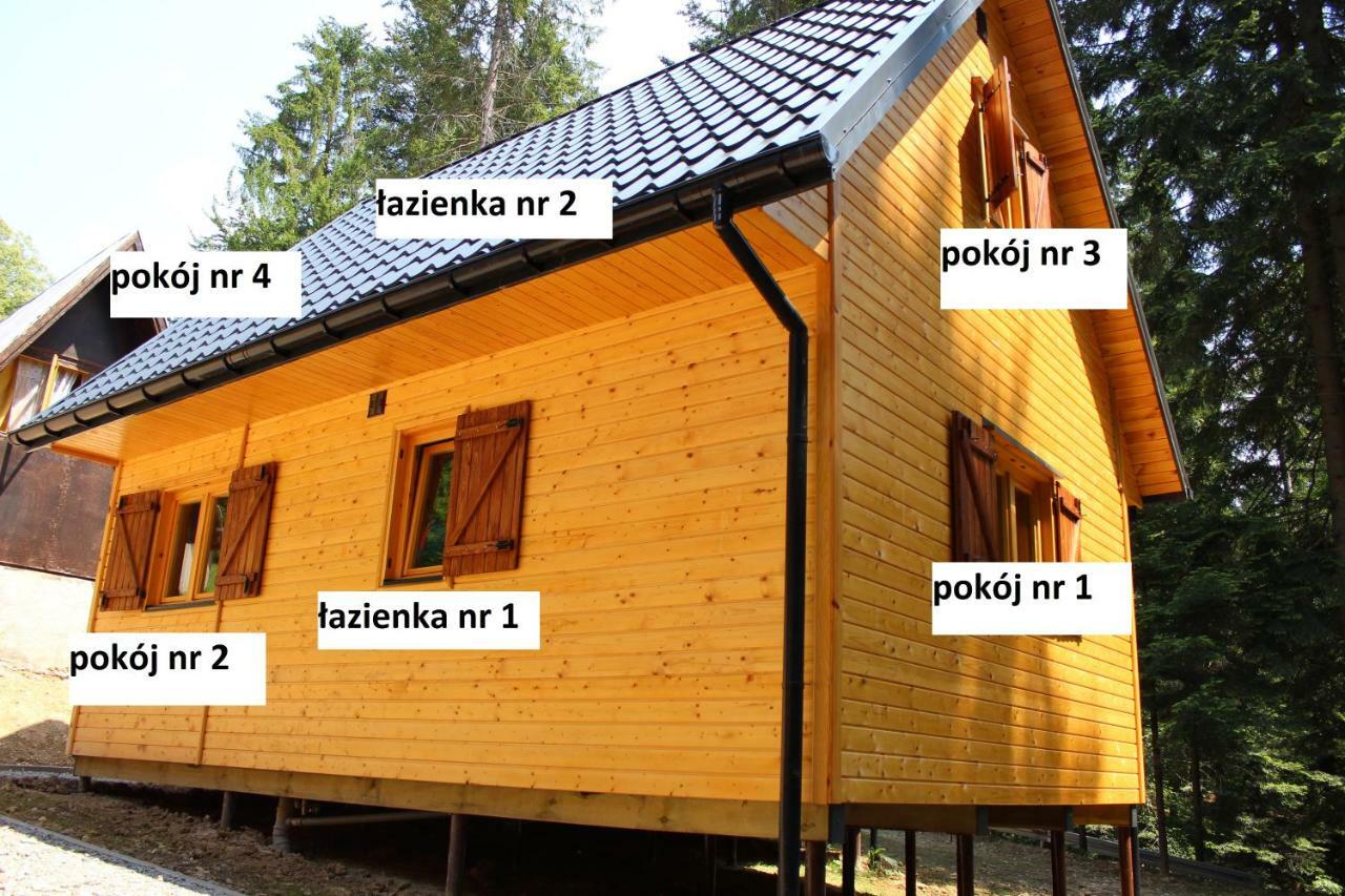 Lesna Willa Pttk W Komanczy Komańcza Buitenkant foto